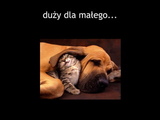 API. Czy warto i dlaczego tak?