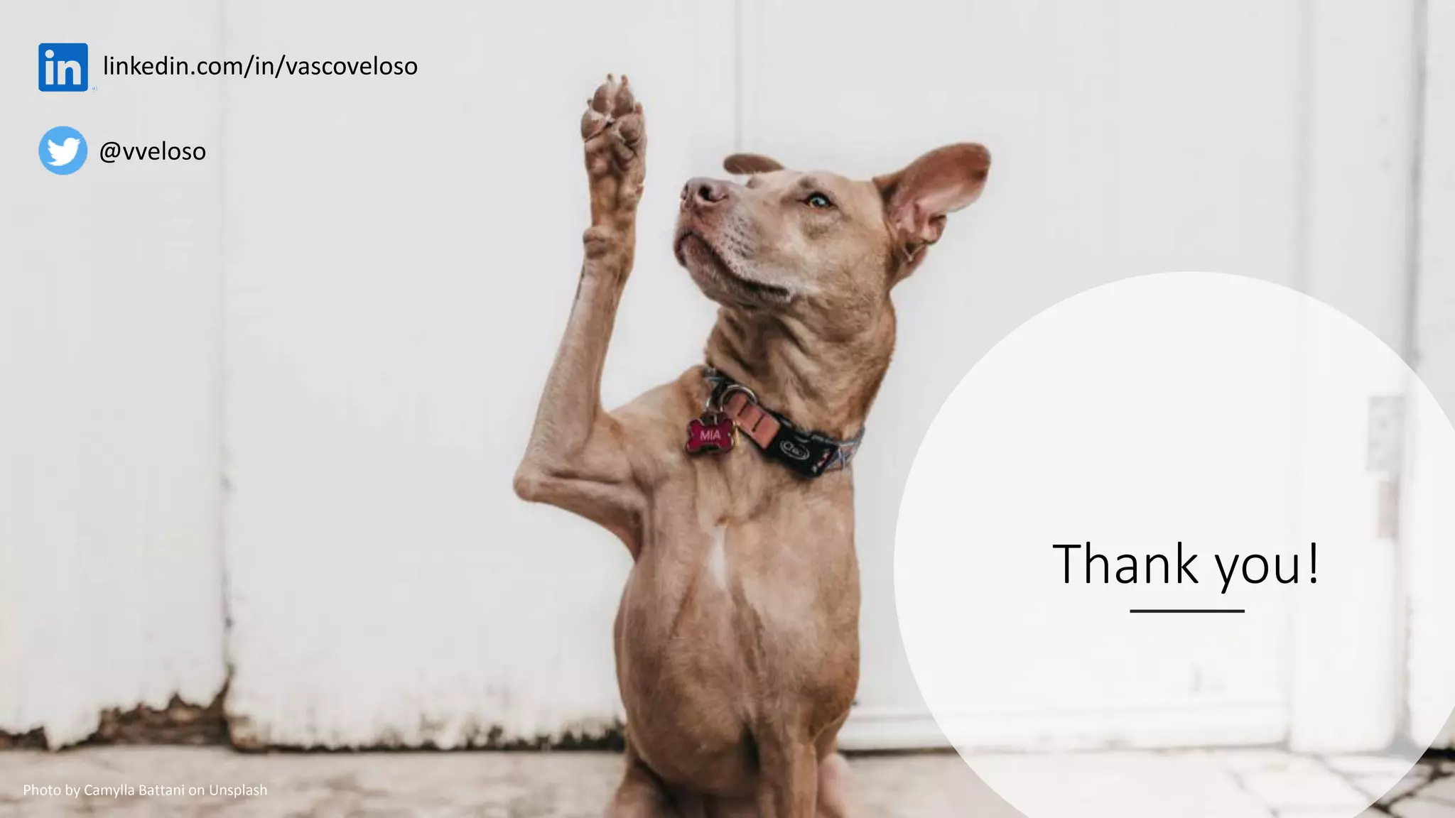 Thank you!
Photo by Camylla Battani on Unsplash
linkedin.com/in/vascoveloso
@vveloso
 