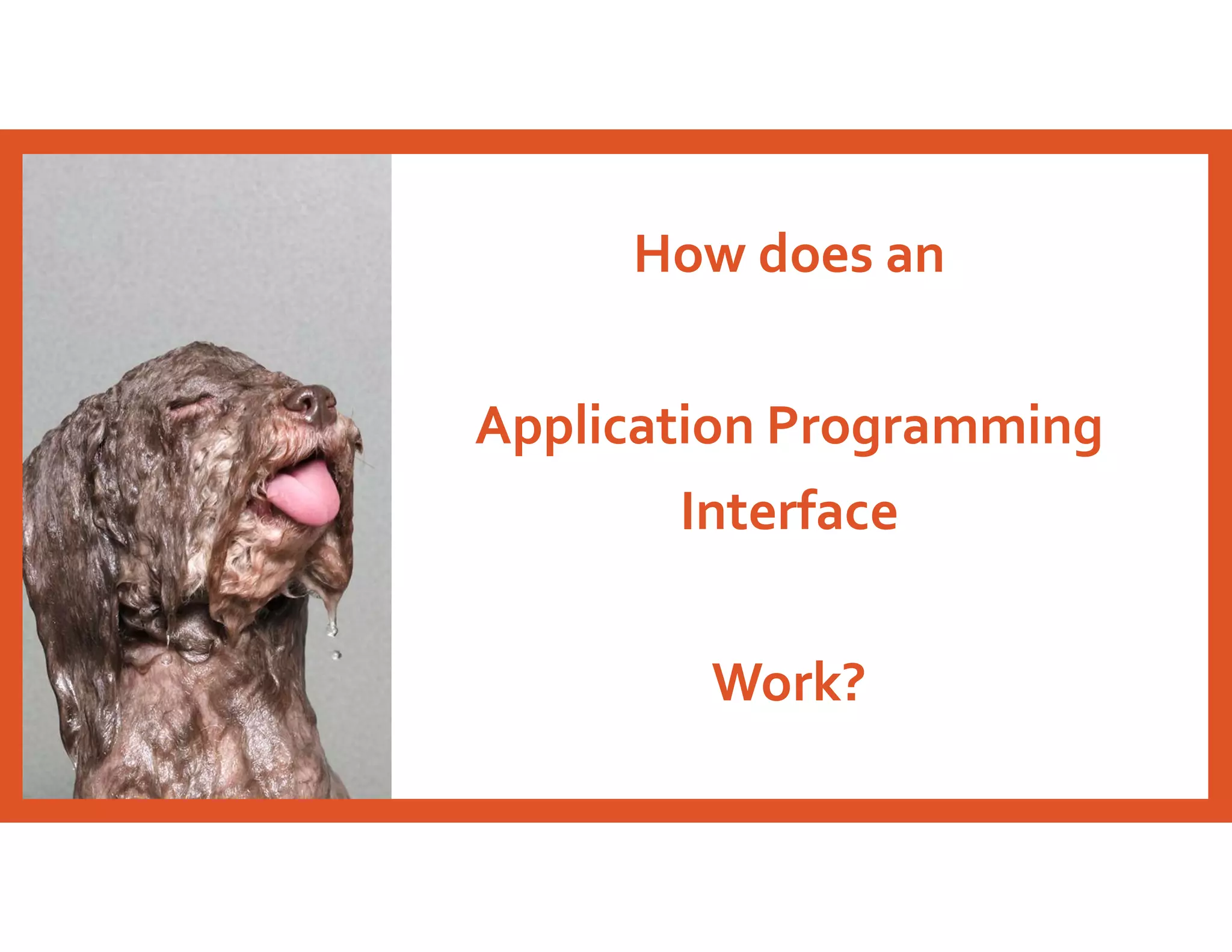 How does an
Application Programming
Interface
Work?
 