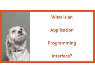 What is an
Application
Programming
Interface?
 