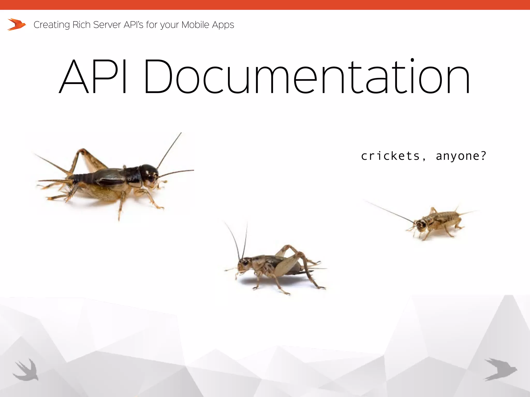 API Documentation Creating Rich Server API’s for your Mobile Apps crickets, anyone? 