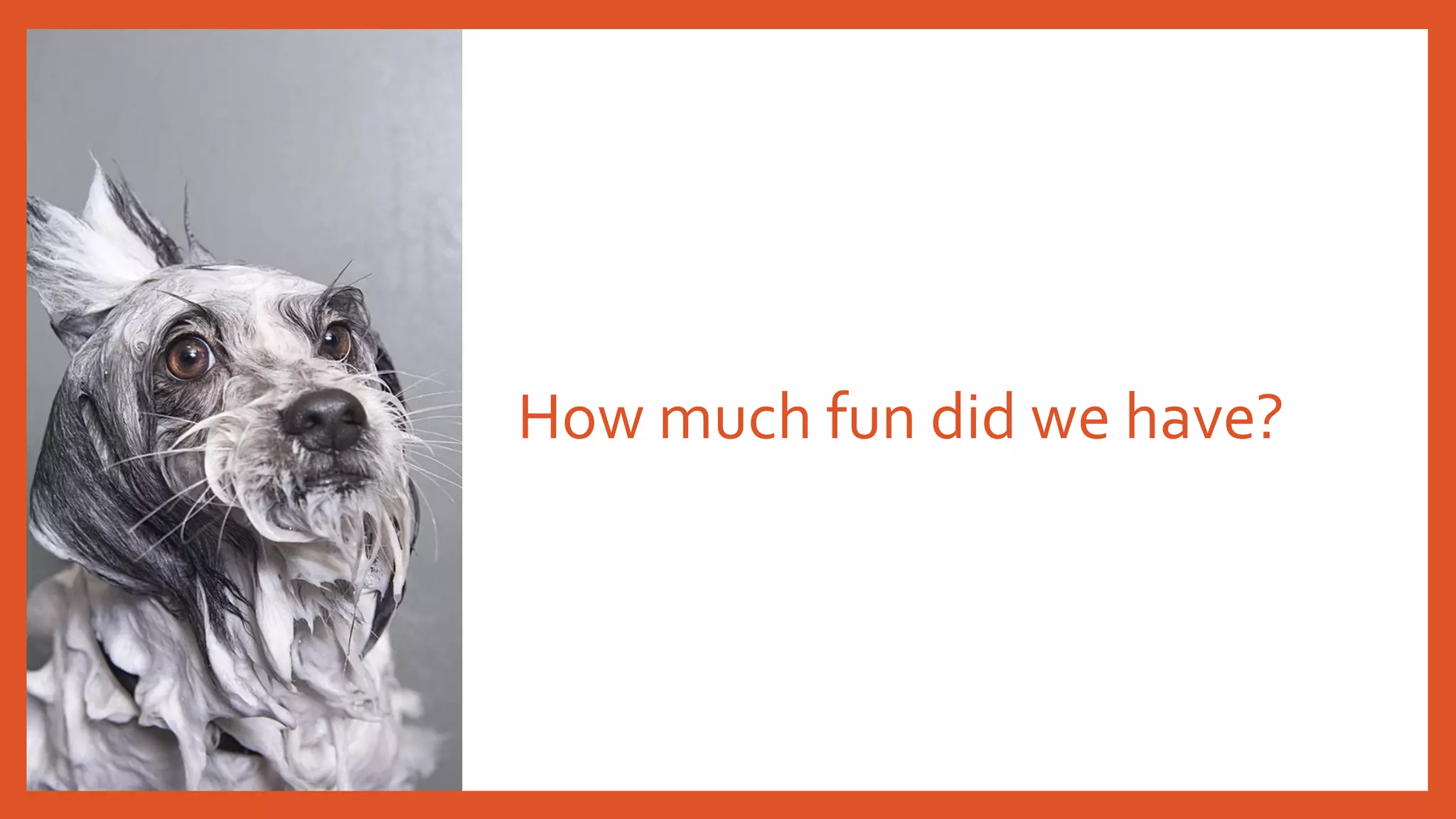 How much fun did we have?
 
