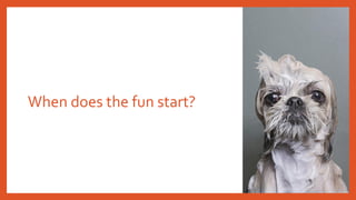 When does the fun start?
 