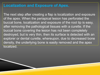 Localization and Exposure of Apex.
The next step after creating a flap is localization and exposure
of the apex. When the periapical lesion has perforated the
buccal bone, localization and exposure of the root tip is easy,
after removing the pathological tissues with a curette. If the
buccal bone covering the lesion has not been completely
destroyed, but is very thin, then its surface is detected with an
explorer or dental curette, whereupon, due to decreased bone
density, the underlying bone is easily removed and the apex
localized.
 