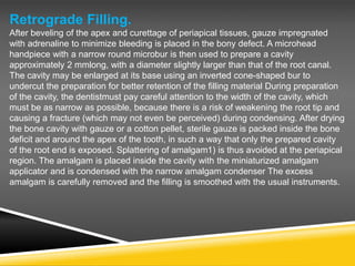 Retrograde Filling.
After beveling of the apex and curettage of periapical tissues, gauze impregnated
with adrenaline to minimize bleeding is placed in the bony defect. A microhead
handpiece with a narrow round microbur is then used to prepare a cavity
approximately 2 mmlong, with a diameter slightly larger than that of the root canal.
The cavity may be enlarged at its base using an inverted cone-shaped bur to
undercut the preparation for better retention of the filling material During preparation
of the cavity, the dentistmust pay careful attention to the width of the cavity, which
must be as narrow as possible, because there is a risk of weakening the root tip and
causing a fracture (which may not even be perceived) during condensing. After drying
the bone cavity with gauze or a cotton pellet, sterile gauze is packed inside the bone
deficit and around the apex of the tooth, in such a way that only the prepared cavity
of the root end is exposed. Splattering of amalgam1) is thus avoided at the periapical
region. The amalgam is placed inside the cavity with the miniaturized amalgam
applicator and is condensed with the narrow amalgam condenser The excess
amalgam is carefully removed and the filling is smoothed with the usual instruments.
 