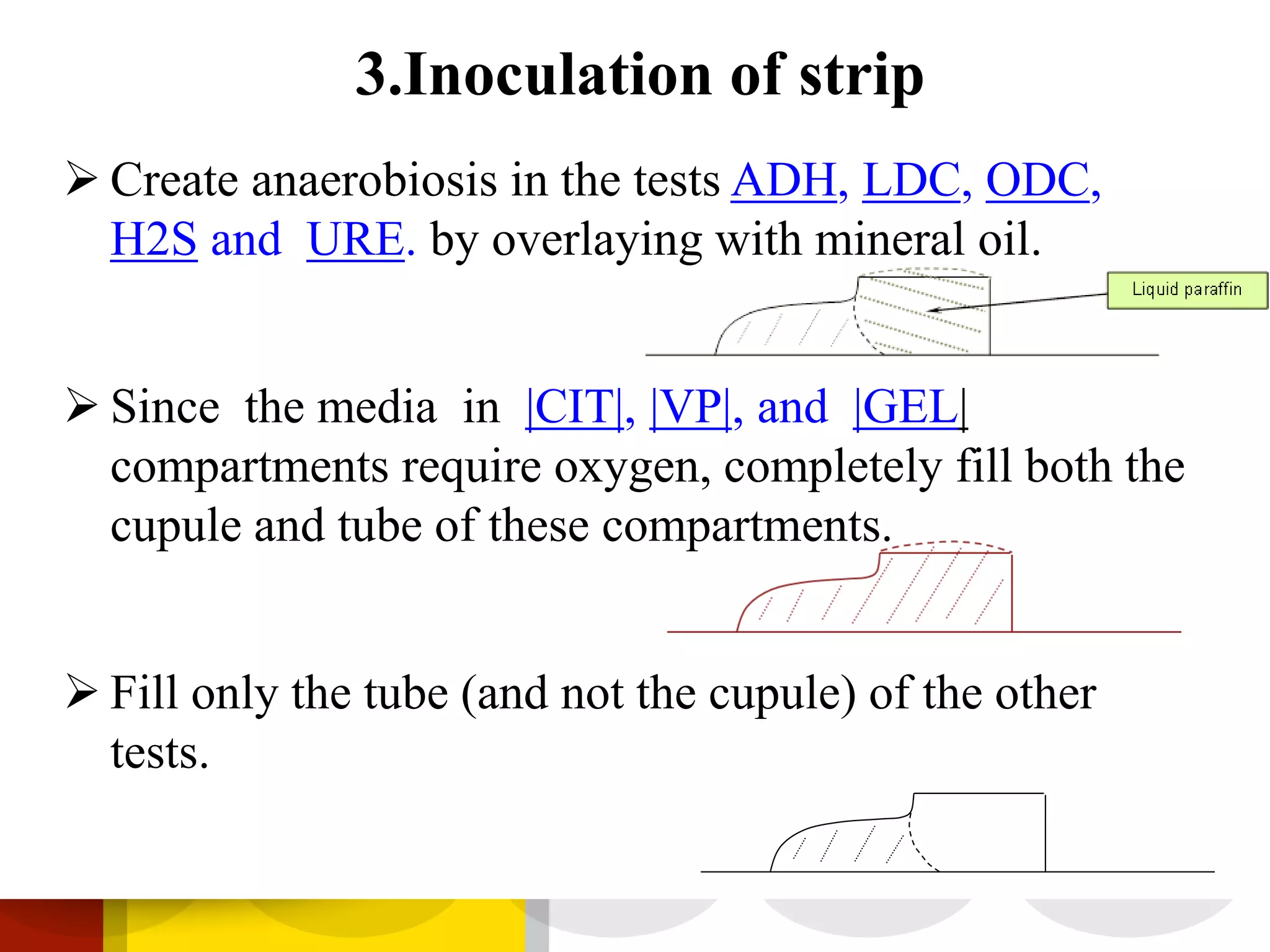  Create anaerobiosis in the tests ADH, LDC, ODC,
H2S and URE. by overlaying with mineral oil.
 Since the media in |CIT|, |VP|, and |GEL|
compartments require oxygen, completely fill both the
cupule and tube of these compartments.
 Fill only the tube (and not the cupule) of the other
tests.
3.Inoculation of strip
 