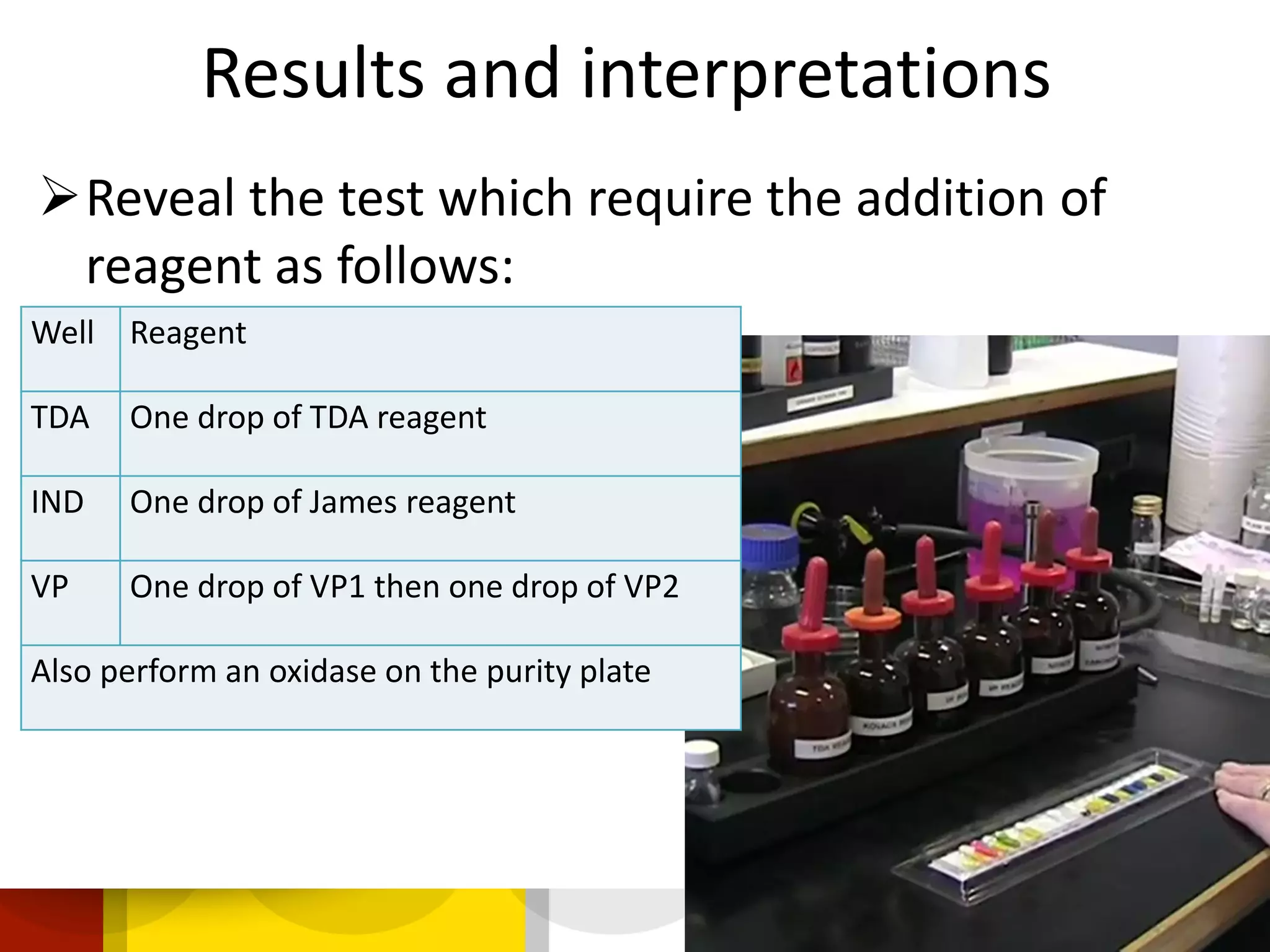 Results and interpretations
Reveal the test which require the addition of
reagent as follows:
Well Reagent
TDA One drop of TDA reagent
IND One drop of James reagent
VP One drop of VP1 then one drop of VP2
Also perform an oxidase on the purity plate
 