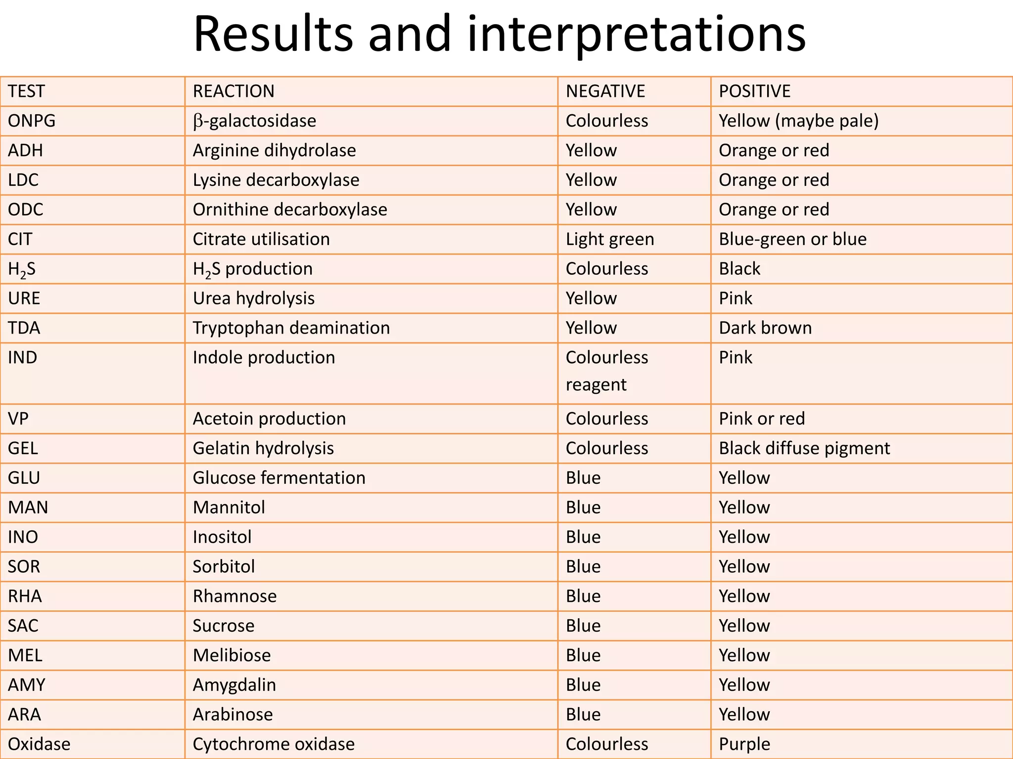 Results and interpretations
TEST REACTION NEGATIVE POSITIVE
ONPG -galactosidase Colourless Yellow (maybe pale)
ADH Arginine dihydrolase Yellow Orange or red
LDC Lysine decarboxylase Yellow Orange or red
ODC Ornithine decarboxylase Yellow Orange or red
CIT Citrate utilisation Light green Blue-green or blue
H2S H2S production Colourless Black
URE Urea hydrolysis Yellow Pink
TDA Tryptophan deamination Yellow Dark brown
IND Indole production Colourless
reagent
Pink
VP Acetoin production Colourless Pink or red
GEL Gelatin hydrolysis Colourless Black diffuse pigment
GLU Glucose fermentation Blue Yellow
MAN Mannitol Blue Yellow
INO Inositol Blue Yellow
SOR Sorbitol Blue Yellow
RHA Rhamnose Blue Yellow
SAC Sucrose Blue Yellow
MEL Melibiose Blue Yellow
AMY Amygdalin Blue Yellow
ARA Arabinose Blue Yellow
Oxidase Cytochrome oxidase Colourless Purple
 