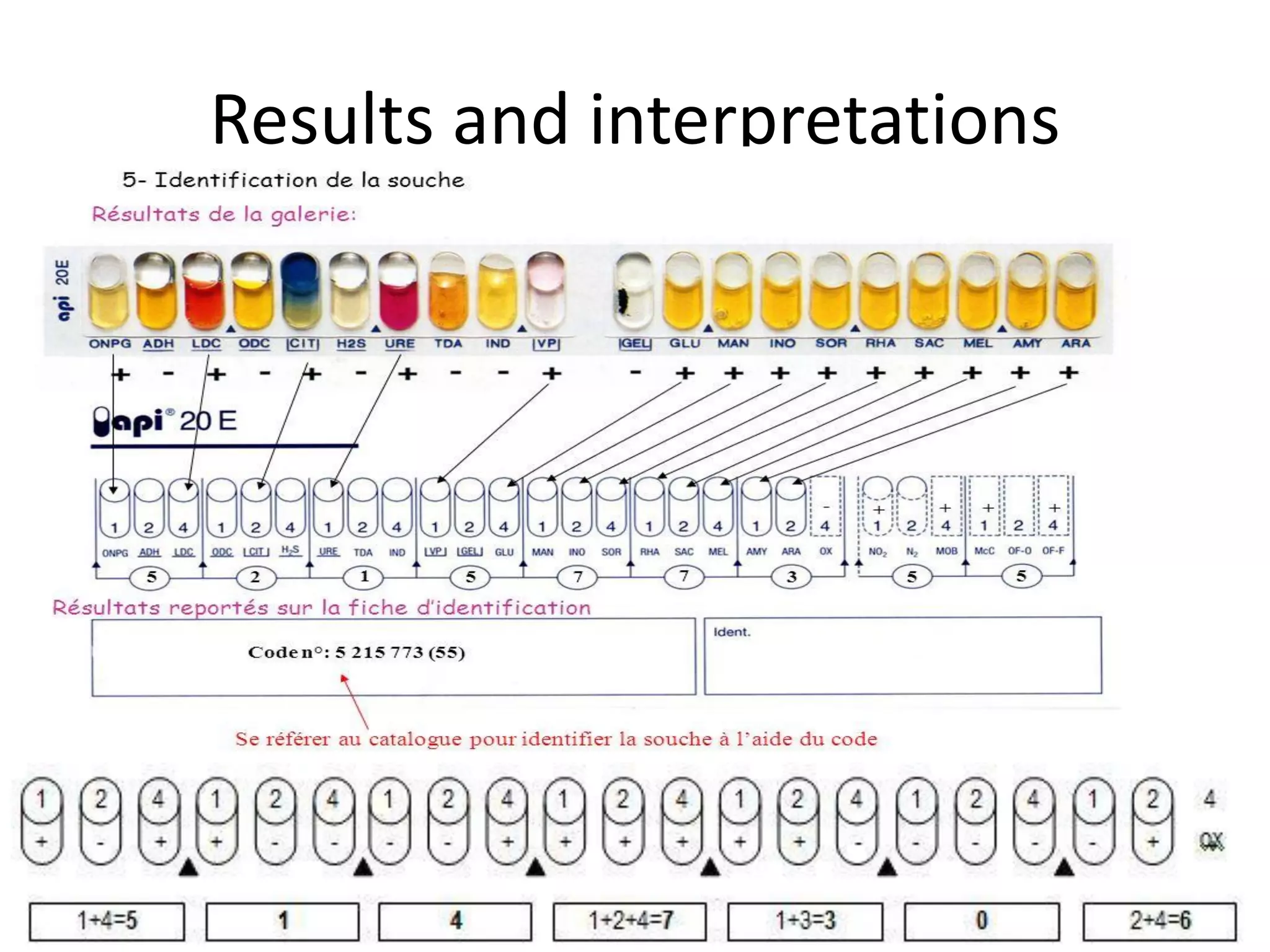 Results and interpretations
 