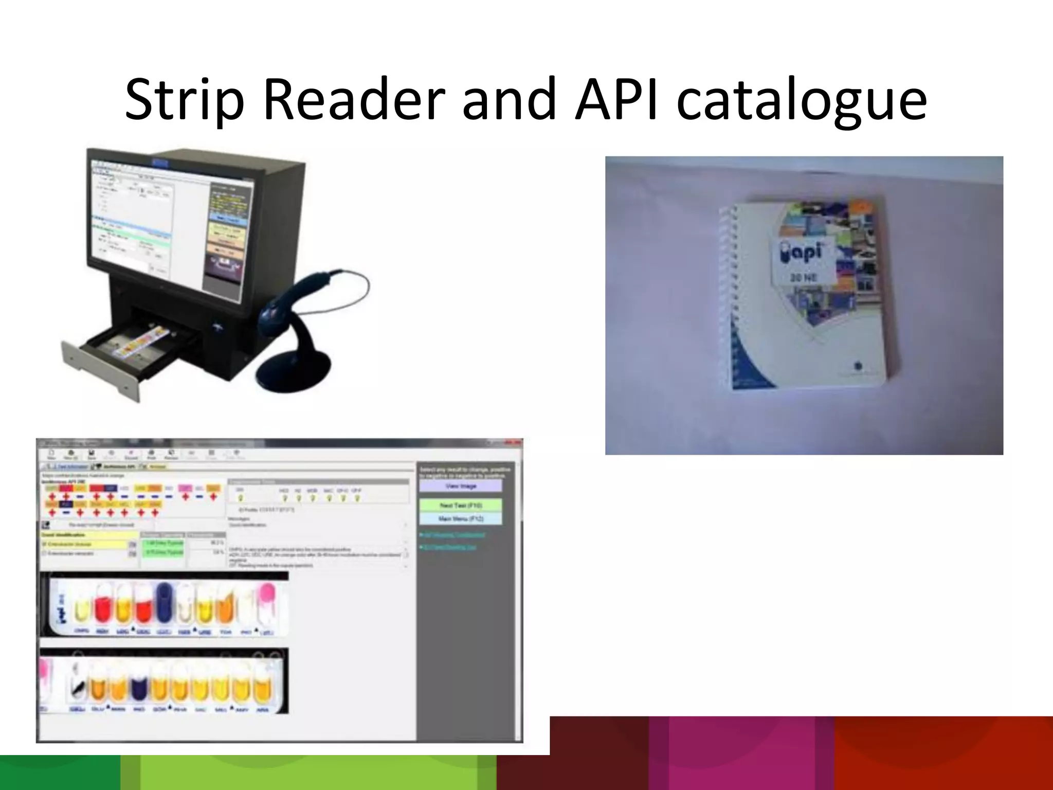 Strip Reader and API catalogue
 