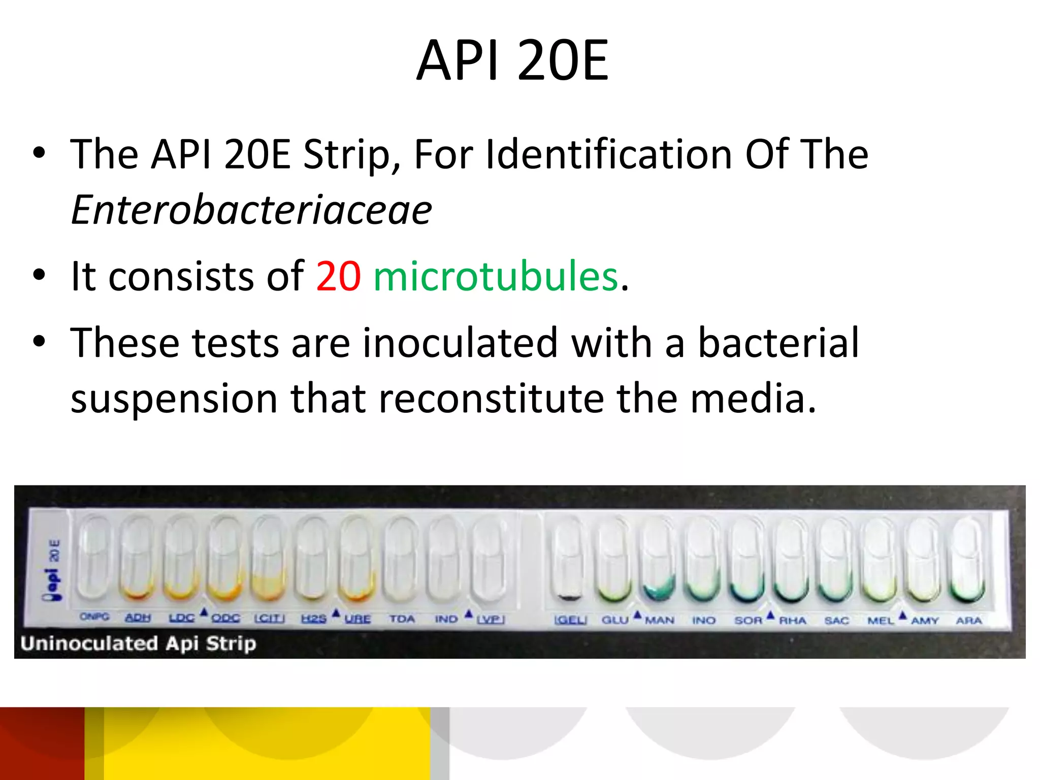 • The API 20E Strip, For Identification Of The
Enterobacteriaceae
• It consists of 20 microtubules.
• These tests are inoculated with a bacterial
suspension that reconstitute the media.
API 20E
 