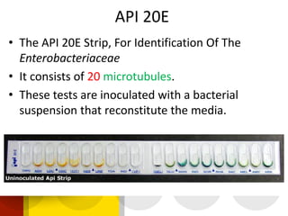 Api 20 e | PDF | Operating Systems | Computer Software and Applications