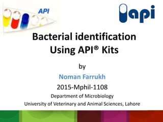 Bacterial identification
Using API® Kits
by
Noman Farrukh
2015-Mphil-1108
Department of Microbiology
University of Veterinary and Animal Sciences, Lahore
 