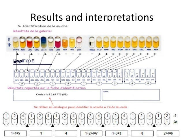 Api 20e Color Chart