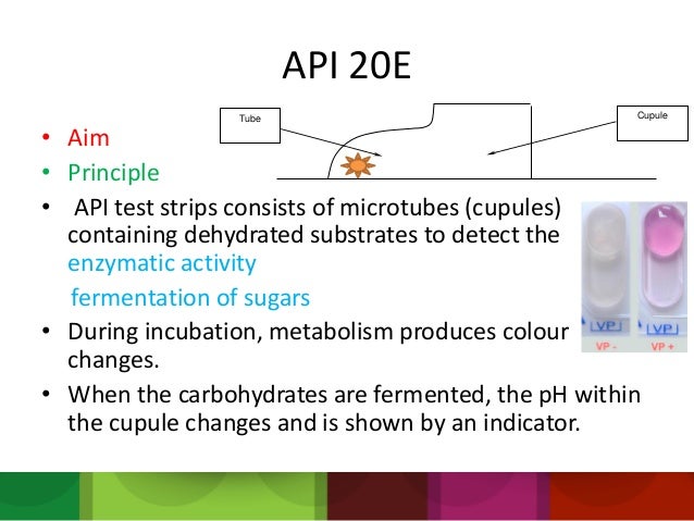 Api 20e Color Chart