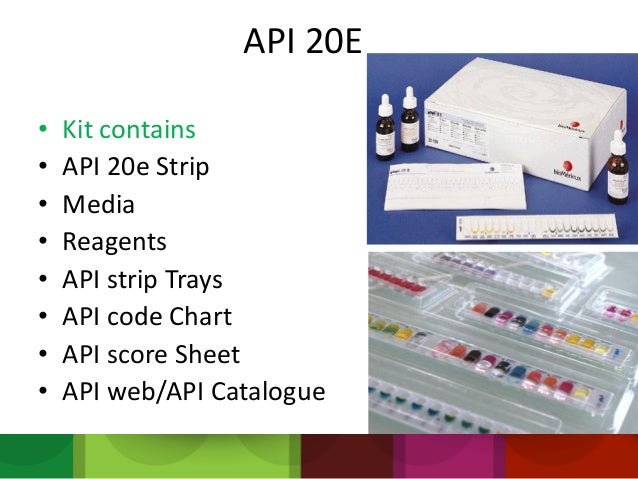 Api 20 e