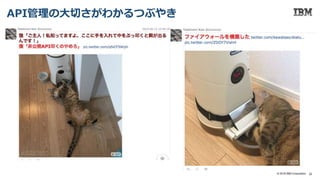 22© 2018 IBM Corporation
API管理の大切さがわかるつぶやき
 