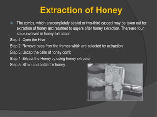 Extraction of Honey
 The combs, which are completely sealed or two-third capped may be taken out for
extraction of honey and returned to supers after honey extraction. There are four
steps involved in honey extraction.
Step 1: Open the Hive
Step 2: Remove bees from the frames which are selected for extraction
Step 3: Uncap the cells of honey comb
Step 4: Extract the Honey by using honey extractor
Step 5: Strain and bottle the honey
 