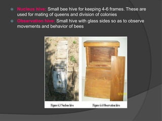  Nucleus hive: Small bee hive for keeping 4-6 frames. These are
used for mating of queens and division of colonies
 Observation hive: Small hive with glass sides so as to observe
movements and behavior of bees
 