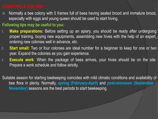 STARTING A COLONY
 Normally a bee colony with 5 frames full of bees having sealed brood and immature brood,
especially with eggs and young queen should be used to start hiving.
Following tips may be useful to you:
1. Make preparations: Before setting up an apiary, you should be ready after undergoing
proper training, buying new equipments, assembling new hives with the help of an expert,
ordering new colonies well in advance, etc.
2. Start small: Two or four colonies are ideal number for a beginner to keep for one or two
year. Expand the colonies as you gain experience.
3. Execute work: When the package of bees arrives, your hives should be on the site.
Prepare a work schedule and follow strictly.
Suitable season for starting beekeeping coincides with mild climatic conditions and availability of
bee flora in plenty. Normally, spring (February-April) and post-monsoon (September -
November) seasons are the best periods to start beekeeping.
 