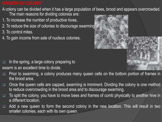 DIVISION OF COLONY
A colony can be divided when it has a large population of bees, brood and appears overcrowded.
The main reasons for dividing colonies are:
1. To increase the number of productive hives.
2. To reduce the size of colonies to discourage swarming.
3. To control mites.
4. To gain income from sale of nucleus colonies.
 In the spring, a large colony preparing to
swarm is an excellent time to divide.
 Prior to swarming, a colony produces many queen cells on the bottom portion of frames in
the brood area.
 Once the queen cells are capped, swarming is imminent. Dividing the colony is one method
to reduce overcrowding in the brood area and to discourage swarming.
 To split the colony, you have to move bees and frames of comb physically to another hive in
a different location.
 Add a new queen to form the second colony in the new location. This will result in two
smaller colonies, each with its own queen.
 