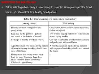 INSPECTING THE BEE COLONY
 Before selecting a bee colony, it is necessary to inspect it. When you inspect the brood
frames, you should look for a healthy brood pattern.
 