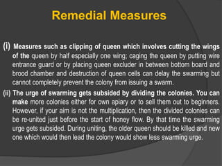 Remedial Measures
(i) Measures such as clipping of queen which involves cutting the wings
of the queen by half especially one wing; caging the queen by putting wire
entrance guard or by placing queen excluder in between bottom board and
brood chamber and destruction of queen cells can delay the swarming but
cannot completely prevent the colony from issuing a swarm.
(ii) The urge of swarming gets subsided by dividing the colonies. You can
make more colonies either for own apiary or to sell them out to beginners.
However, if your aim is not the multiplication, then the divided colonies can
be re-united just before the start of honey flow. By that time the swarming
urge gets subsided. During uniting, the older queen should be killed and new
one which would then lead the colony would show less swarming urge.
 