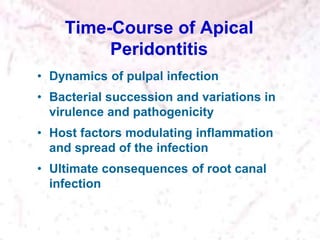 Time-Course of Apical
Peridontitis
• Dynamics of pulpal infection
• Bacterial succession and variations in
virulence and pathogenicity
• Host factors modulating inflammation
and spread of the infection
• Ultimate consequences of root canal
infection
 