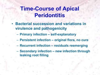 Time-Course of Apical
Peridontitis
• Bacterial succession and variations in
virulence and pathogenicity
– Primary infection – self-explanatory
– Persistent infection – original flora, no cure
– Recurrent infection – residuals reemerging
– Secondary infection – new infection through
leaking root filling
 