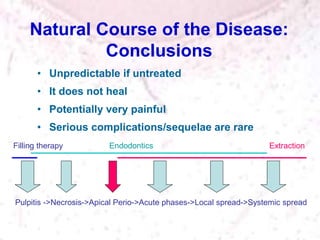 Natural Course of the Disease:
Conclusions
• Unpredictable if untreated
• It does not heal
• Potentially very painful
• Serious complications/sequelae are rare
Pulpitis ->Necrosis->Apical Perio->Acute phases->Local spread->Systemic spread
Filling therapy Endodontics Extraction
 
