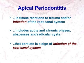 Apical Periodontitis
• .. is tissue reactions to trauma and/or
infection of the root canal system
• .. includes acute and chronic phases,
abscesses and radicular cysts
• ..that persists is a sign of infection of the
root canal system
 