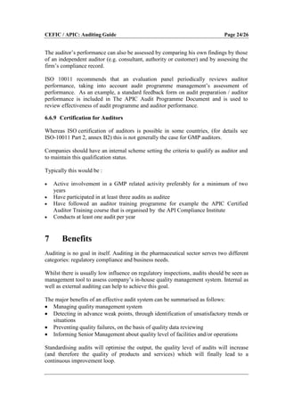 Apic auditing guide_201008 | PDF