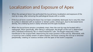 Localization and Exposure of Apex
• When the periapical lesion has perforated the buccal bone, localization and exposure of the
root tip is easy, after removing the pathological tissues with a curette.
• If the buccal bone covering the lesion has not been completely destroyed, but is very thin, then
its surface is detected with an explorer or dental curette, whereupon, due to decreased bone
density, the underlying bone is easily removed and the apex localized.
• When the buccal bone remains completely intact, then the root tip may be located with a
radiograph. More specifically, after taking a radiograph, the length of the root is determined
with a sterilized endodontic file or metal endodontic ruler. The length measured is then
transferred to the surgical field, determining the exact position of the root tip. Afterwards, with
a round bur and a steady stream of saline solution, the bone covering the root tip is removed
peripherally, creating an osseous window until the apex of the tooth is exposed.
 
