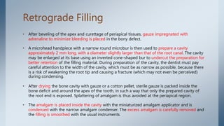 Retrograde Filling
• After beveling of the apex and curettage of periapical tissues, gauze impregnated with
adrenaline to minimize bleeding is placed in the bony defect.
• A microhead handpiece with a narrow round microbur is then used to prepare a cavity
approximately 2 mm long, with a diameter slightly larger than that of the root canal. The cavity
may be enlarged at its base using an inverted cone-shaped bur to undercut the preparation for
better retention of the filling material. During preparation of the cavity, the dentist must pay
careful attention to the width of the cavity, which must be as narrow as possible, because there
is a risk of weakening the root tip and causing a fracture (which may not even be perceived)
during condensing.
• After drying the bone cavity with gauze or a cotton pellet, sterile gauze is packed inside the
bone deficit and around the apex of the tooth, in such a way that only the prepared cavity of
the root end is exposed. Splattering of amalgam is thus avoided at the periapical region.
• The amalgam is placed inside the cavity with the miniaturized amalgam applicator and is
condensed with the narrow amalgam condenser. The excess amalgam is carefully removed and
the filling is smoothed with the usual instruments.
 