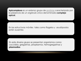 Apicomplexa es un extenso grupo de protistas caracterizado por
la presencia de un orgánulo único denominado complejo
apical.




En las estructuras móviles tales como flagelos y seudópodos
están ausentes




En este diverso grupo se presentan organismos como:
coccidios, gregarinas, piroplasmos, hemogregarinas y
plasmodios
 