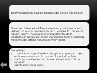Enfermedad producida por parásitos del género Plasmodium




Sintomas: Fiebre, escalofríos, sudoración y dolor de cabeza.
Además se puede presentar náuseas, vómitos, tos, heces con
sangre, dolores musculares, ictericia, defectos de la
coagulación sanguínea, shock, insuficiencia renal o hepática,
trastornos del sistema nervioso central y coma



Transmisión:
• La unica forma posible de contagio es es que una mujer
   embarazada lo transmita por vía placentaria al feto.
• por la transmisión directa a través de la picadura de un
   mosquito
• Transfusiones sanguíneas.
 