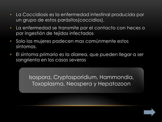 • La Coccidiosis es la enfermedad intestinal producida por
  un grupo de estos parásitos(coccidios).
• La enfermedad se transmite por el contacto con heces o
  por ingestión de tejidos infectados
• Solo las mujeres padecen mas comúnmente estos
  síntomas.
• El síntoma primario es la diarrea, que pueden llegar a ser
  sangrienta en los casos severos


        Isospora, Cryptosporidium, Hammondia,
          Toxoplasma, Neospera y Hepatozoon
 
