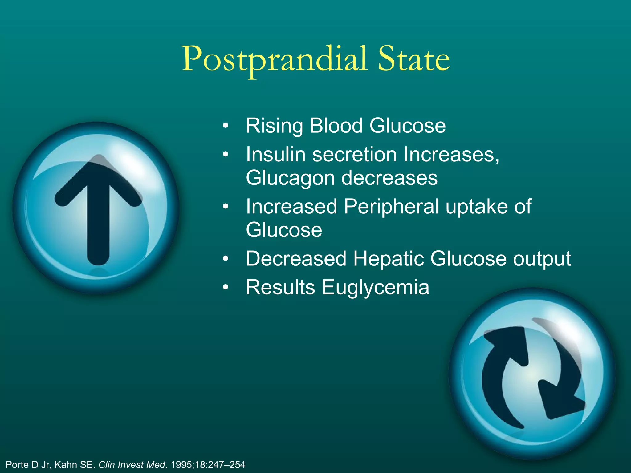 Postprandial State Rising Blood Glucose Insulin secretion Increases, Glucagon decreases Increased Peripheral uptake of Glucose Decreased Hepatic Glucose output Results Euglycemia Porte D Jr, Kahn SE.  Clin Invest Med . 1995;18:247–254 