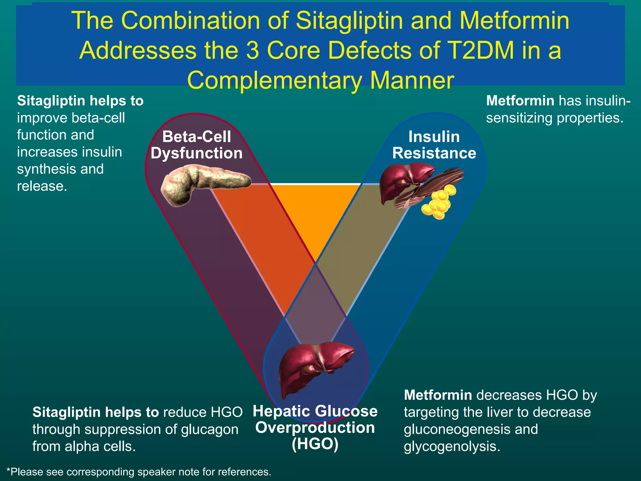 Sitagliptin Reduces Hyperglycemia Sitagliptin helps to  improve beta-cell function and increases insulin synthesis and release. Sitagliptin helps to  reduce HGO through suppression of glucagon from alpha cells. Metformin  decreases HGO by targeting the liver to decrease gluconeogenesis and glycogenolysis. Metformin  has insulin- sensitizing properties. Beta-Cell Dysfunction Hepatic Glucose Overproduction (HGO) Metformin Reduces Hyperglycemia The Combination of Sitagliptin and Metformin Addresses the 3 Core Defects of T2DM in a Complementary Manner Insulin Resistance *Please see corresponding speaker note for references. 