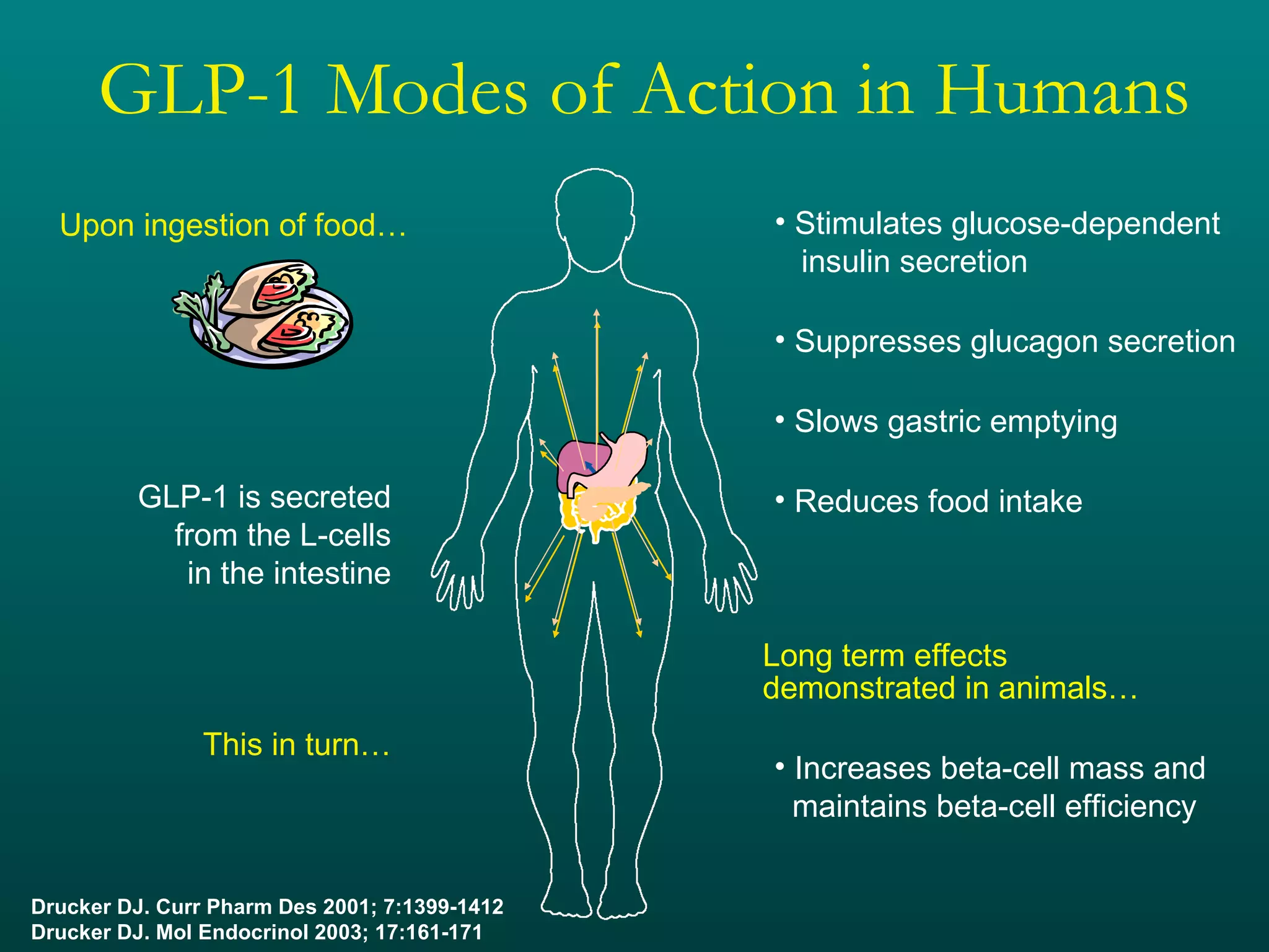 GLP-1 Modes of Action in Humans GLP-1 is secreted from the L-cells in the intestine This in turn… Stimulates glucose-dependent   insulin secretion Suppresses glucagon secretion Slows gastric emptying Long term effects demonstrated in animals… Increases beta-cell mass and   maintains beta-cell efficiency Reduces food intake Drucker DJ. Curr Pharm Des 2001; 7:1399-1412 Drucker DJ. Mol Endocrinol 2003; 17:161-171 Upon ingestion of food… 