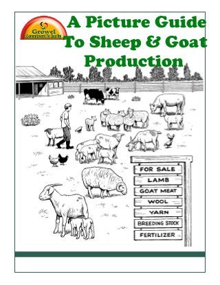 Contents
A Picture Guide
To Sheep & Goat
Production
 