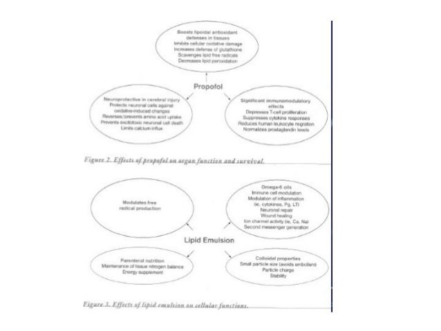 A Picture is Worth 1000 Words