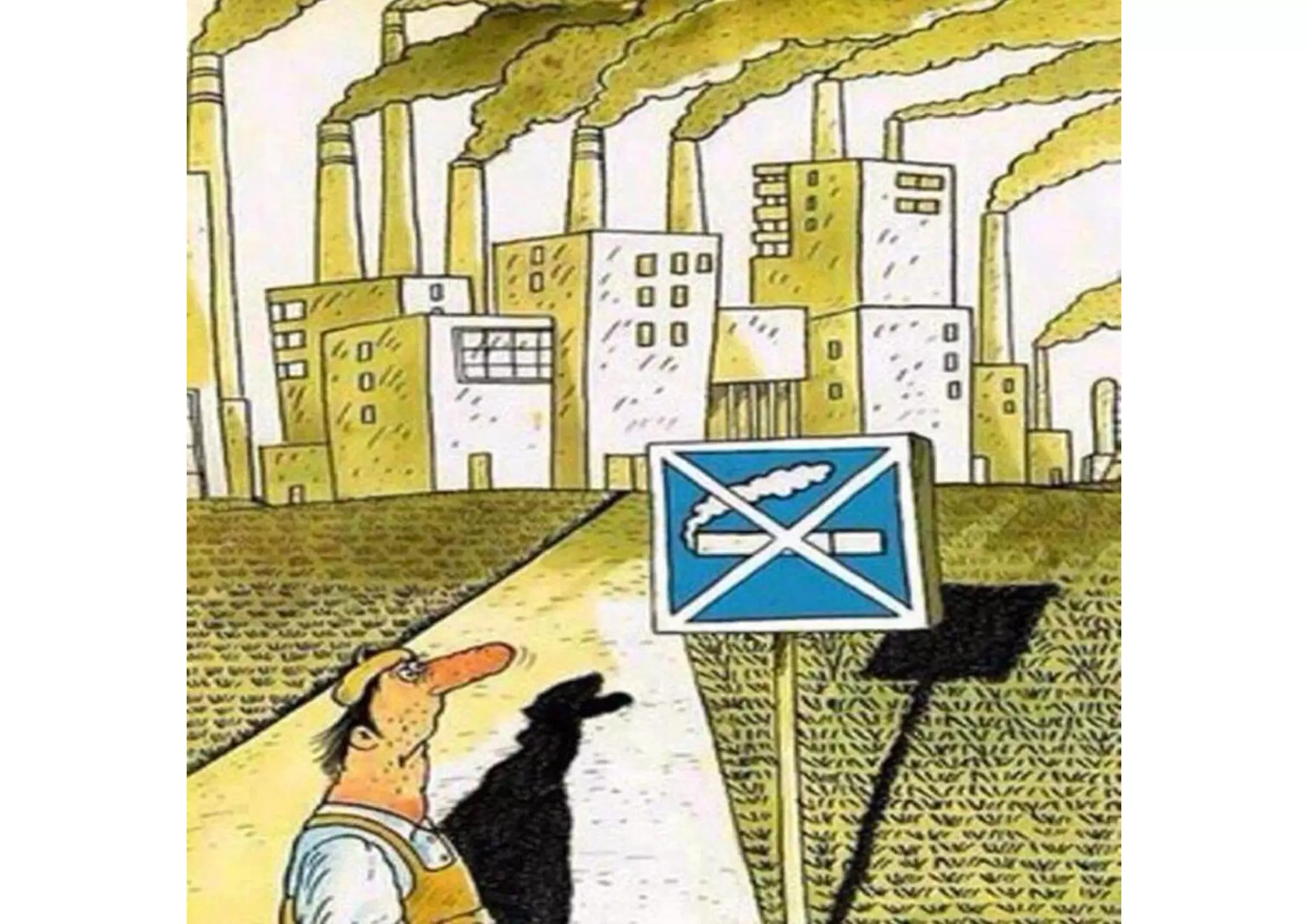 A picture is worth a thousand words 1