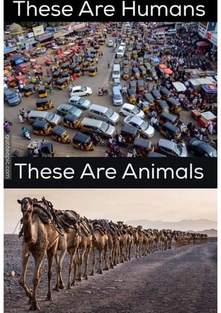 A picture is worth a thousand words 1