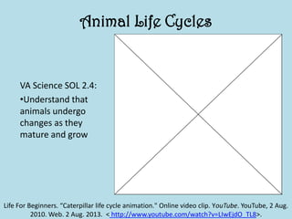 Animal Life Cycles
VA Science SOL 2.4:
•Understand that
animals undergo
changes as they
mature and grow
Life For Beginners. “Caterpillar life cycle animation." Online video clip. YouTube. YouTube, 2 Aug.
2010. Web. 2 Aug. 2013. < http://www.youtube.com/watch?v=LIwEjdO_TL8>.
 