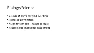 Biology/Science
• Collage of plants growing over time
• Phases of germination
• #MondayMandela – nature collages
• Record steps in a science experiment
 