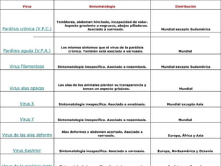 África, Europa y Oceanía  Desconocida. Virus asociados a la parálisis crónica Egipto Desconocida Virus egipcio Inglaterra y Oceanía Sintomatología inespecífica. Asociado a varroasis. Virus de la parálisis lenta Europa, Norteamérica y Oceanía  Sintomatología inespecífica. Asociado a varroasis. Virus  Kashmir Europa, África y Asia Alas deformes y abdomen acortado. Asociado a varroasis. Virus de las alas deformes Mundial  Sintomatología inespecífica. Asociado a nosemiasis. Virus Y Mundial excepto Asia  Sintomatología inespecífica. Asociado a amebiasis. Virus X Mundial Las alas de los animales pierden su transparencia y toman un aspecto grisáceo. Virus alas opacas Mundial excepto Sudamérica Sintomatología inespecífica. Asociado a nosemiasis. Virus filamentoso Mundial  Los mismos síntomas que el virus de la parálisis crónica. También está asociado a varroasis.  Parálisis aguda ( V.P.A .) Mundial excepto Sudamérica Temblores, abdomen hinchado, incapacidad de volar. Aspecto grasiento o negruzco, abejas pilladoras. Asociado a varroasis.  Parálisis crónica ( V.P.C .) Distribución Sintomatología Virus 