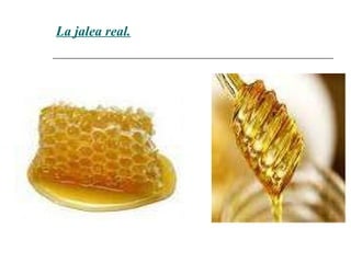 La jalea real. 