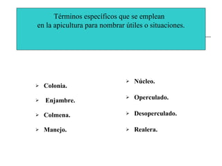Colonia. Enjambre. Colmena. Manejo. Núcleo. Operculado.   Desoperculado.   Realera. Términos específicos que se emplean  en la apicultura para nombrar útiles o situaciones. 