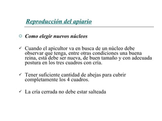 Reproducción del apiario Como elegir nuevos núcleos Cuando el apicultor va en busca de un núcleo debe observar que tenga, entre otras condiciones una buena reina, está debe ser nueva, de buen tamaño y con adecuada postura en los tres cuadros con cría. Tener suficiente cantidad de abejas para cubrir completamente los 4 cuadros. La cría cerrada no debe estar salteada   
